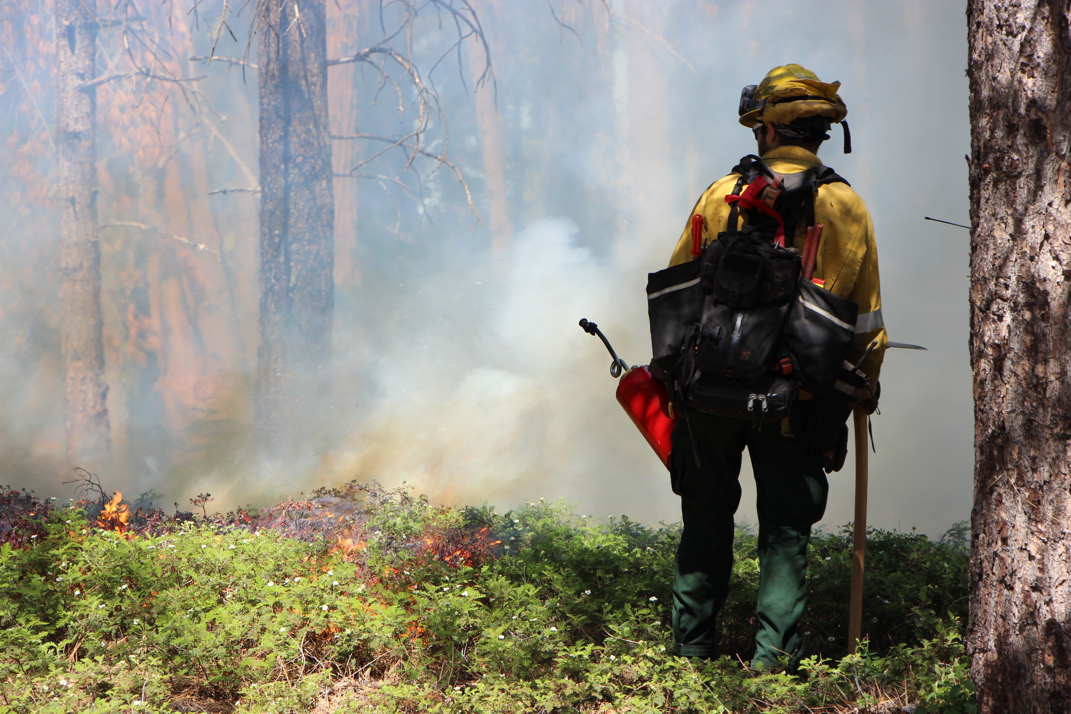 Firefighter standing with drip torch 